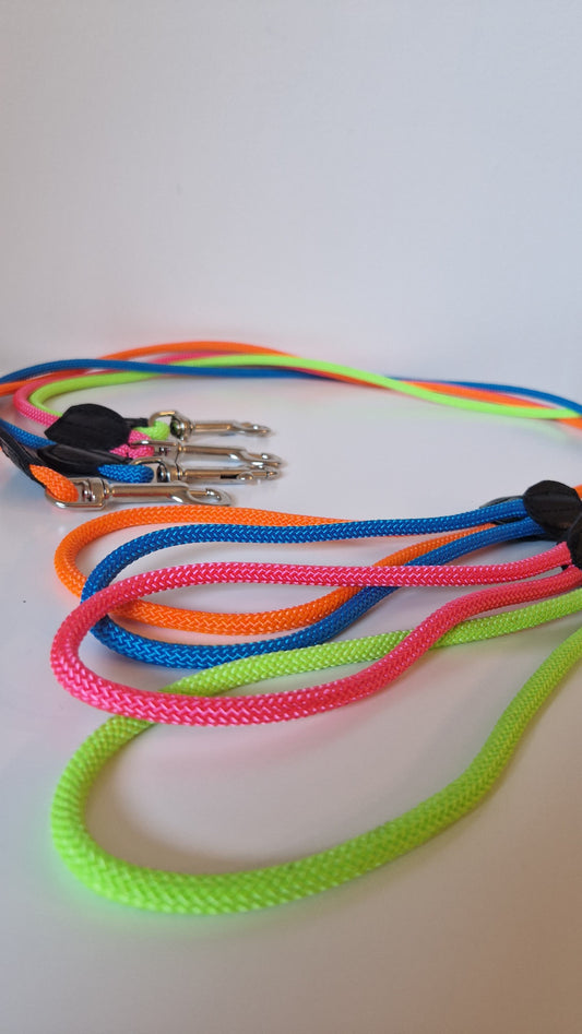 Guinzaglio per cani in corda intrecciata con moschettone e rifiniture in pelle